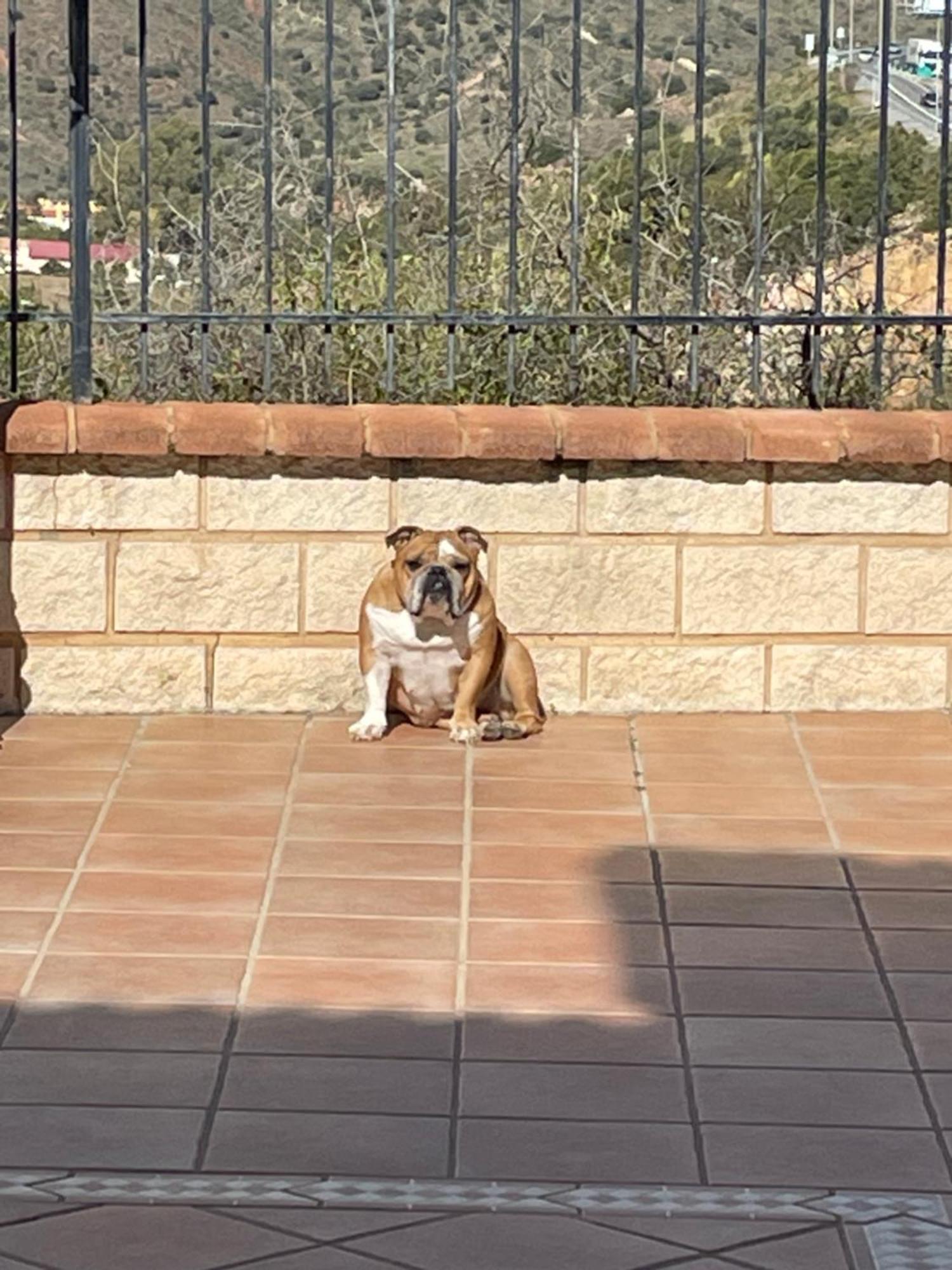 Cariad Boutique Bed & Breakfast La Cala Del Moral Dış mekan fotoğraf